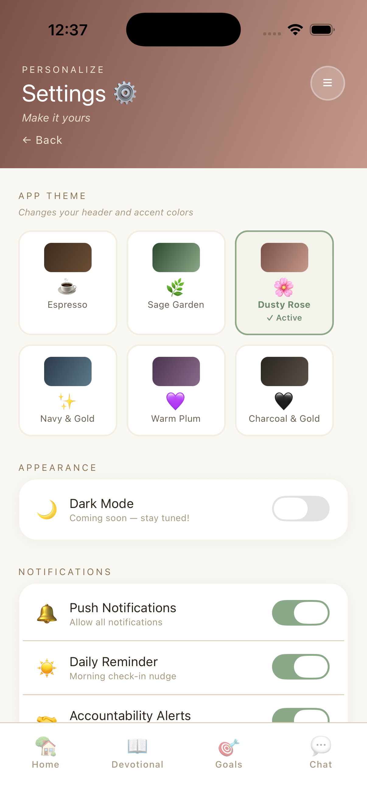 Settings screen with theme options